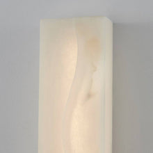 Load image into Gallery viewer, Sanger LED Wall Light in Detail.
