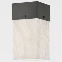 Load image into Gallery viewer, Times Square Wall Light in Detail.

