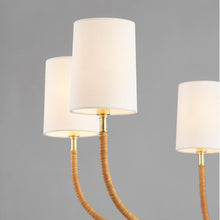Load image into Gallery viewer, Webson Chandelier in Detail.
