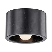 Load image into Gallery viewer, Loris Ceiling / Wall Light in Black.
