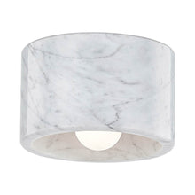 Load image into Gallery viewer, Loris Ceiling / Wall Light in White.
