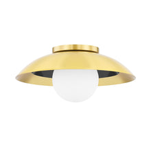 Load image into Gallery viewer, Tobia Ceiling / Wall Light.

