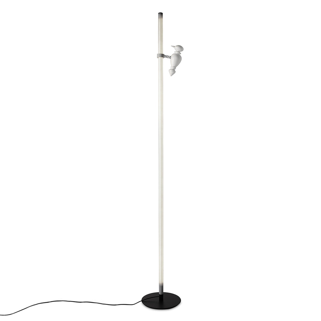 Accipicchio LED Floor Lamp in White.