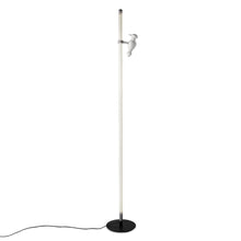 Load image into Gallery viewer, Accipicchio LED Floor Lamp.
