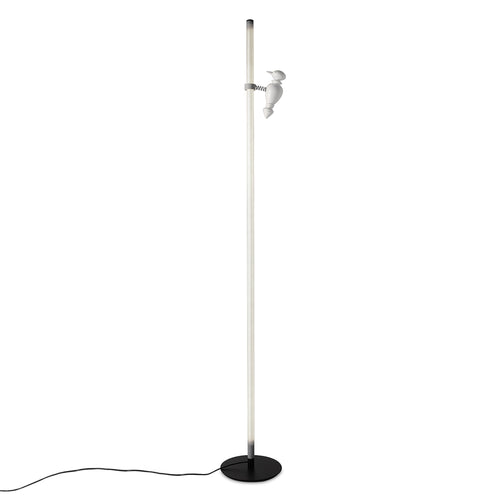 Accipicchio LED Floor Lamp.
