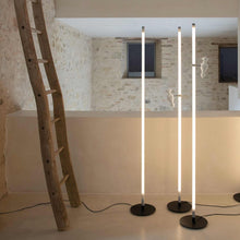 Load image into Gallery viewer, Accipicchio LED Floor Lamp in living room.
