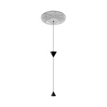 Load image into Gallery viewer, Moonbloom LED Pendant Light (Small/2-Light).
