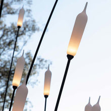 Load image into Gallery viewer, Nilo Outdoor LED Floor Lamp in Detail.

