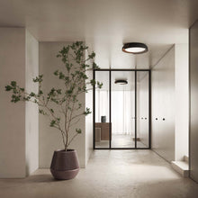 Load image into Gallery viewer, Dala LED Flush Mount Ceiling Light in living room.
