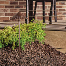 Load image into Gallery viewer, Cast Hammered Roof LED Path Light in Outdoor Area.
