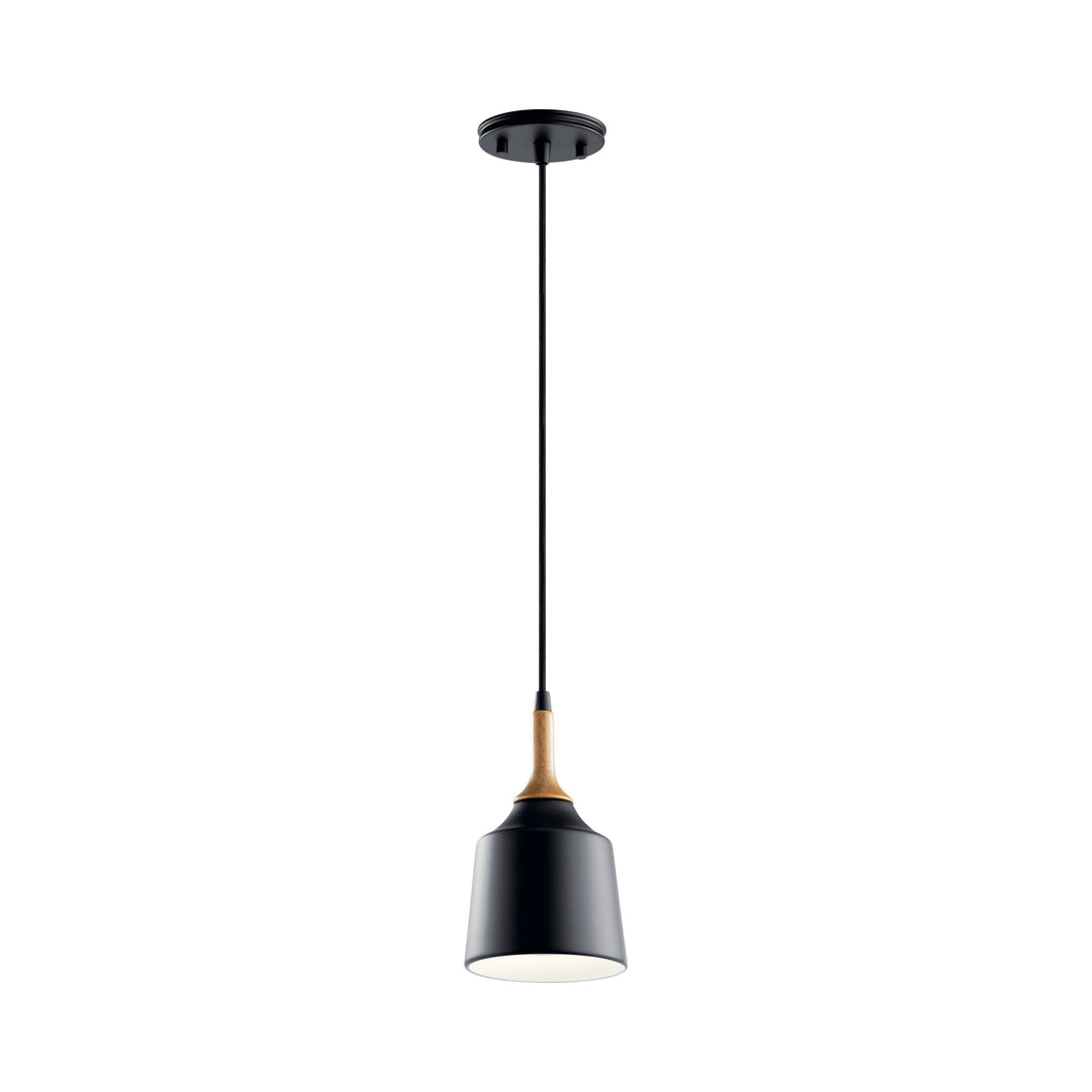 Danika Mini Pendant Light in Black.