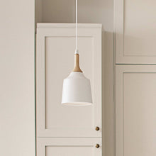 Load image into Gallery viewer, Danika Mini Pendant Light in Detail.
