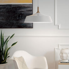 Load image into Gallery viewer, Danika Pendant Light in living room.
