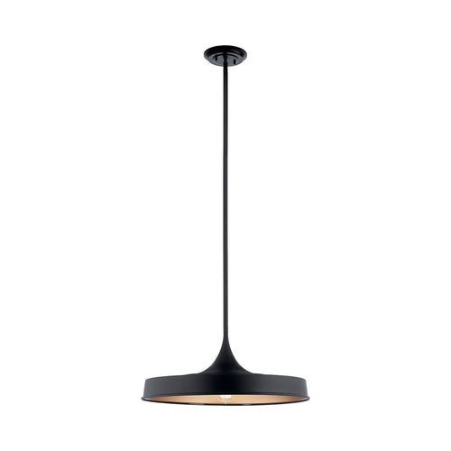 Elias Outdoor LED Convertible Pendant Light.