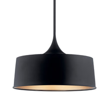 Load image into Gallery viewer, Elias Outdoor LED Convertible Pendant Light in Detail.
