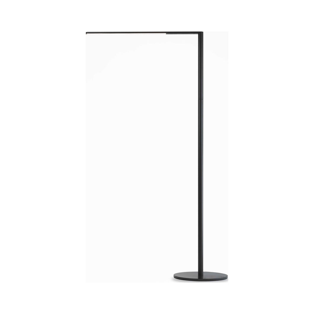 Lady7 LED Floor Lamp in Metallic Black.