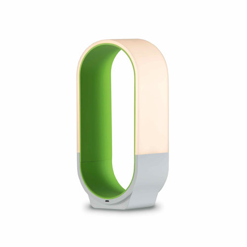 Mr. GO! Outdoor LED Lantern in Soft Green.