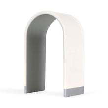 Load image into Gallery viewer, Mr. N LED Table Lamp in Silver/Medium.
