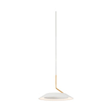 Load image into Gallery viewer, Royyo LED Pendant Light in Matte White.
