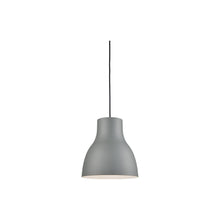 Load image into Gallery viewer, Cradle Pendant Light in Small/Gray.

