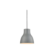 Load image into Gallery viewer, Cradle Pendant Light in Detail.
