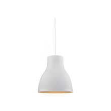 Load image into Gallery viewer, Cradle Pendant Light in Detail.
