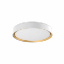 Load image into Gallery viewer, Essex LED Flush Mount Ceiling Light in White/Gold (Small).
