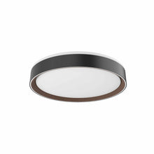 Load image into Gallery viewer, Essex LED Flush Mount Ceiling Light in Black/Walnut (Small).
