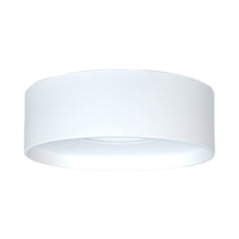 Load image into Gallery viewer, Trenton Outdoor LED Flush Mount Ceiling Light in Frosted Glass/White.
