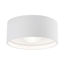 Load image into Gallery viewer, Trenton Outdoor LED Flush Mount Ceiling Light in Clear Glass/White.
