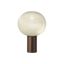 Load image into Gallery viewer, Laguna Table Lamp in Bronze/Medium.
