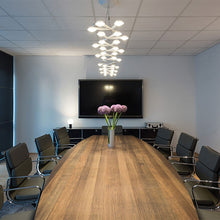 Load image into Gallery viewer, LED Net 66 Linear Suspension Light in office.
