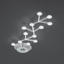 Load image into Gallery viewer, LED Net Line Ceiling Light in Small.
