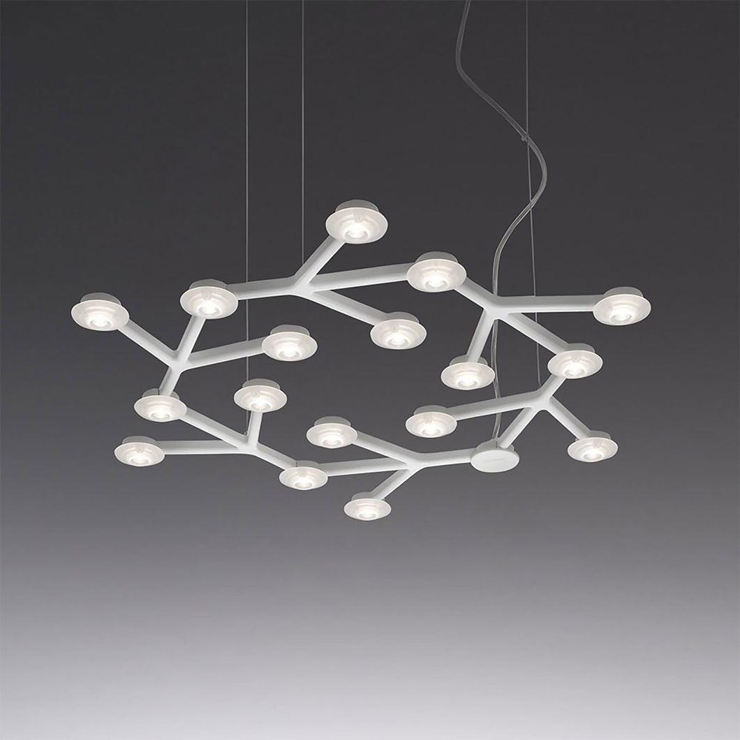 LED Net Circular Suspension Light in Standard.