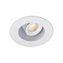 Load image into Gallery viewer, LEDme 1 Inch Round Adjustable LED Downlight in White.
