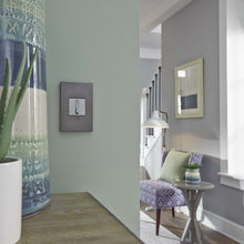 Load image into Gallery viewer, adorne® Cast Metals PLUS 1-Gang Wall Plate in living room.
