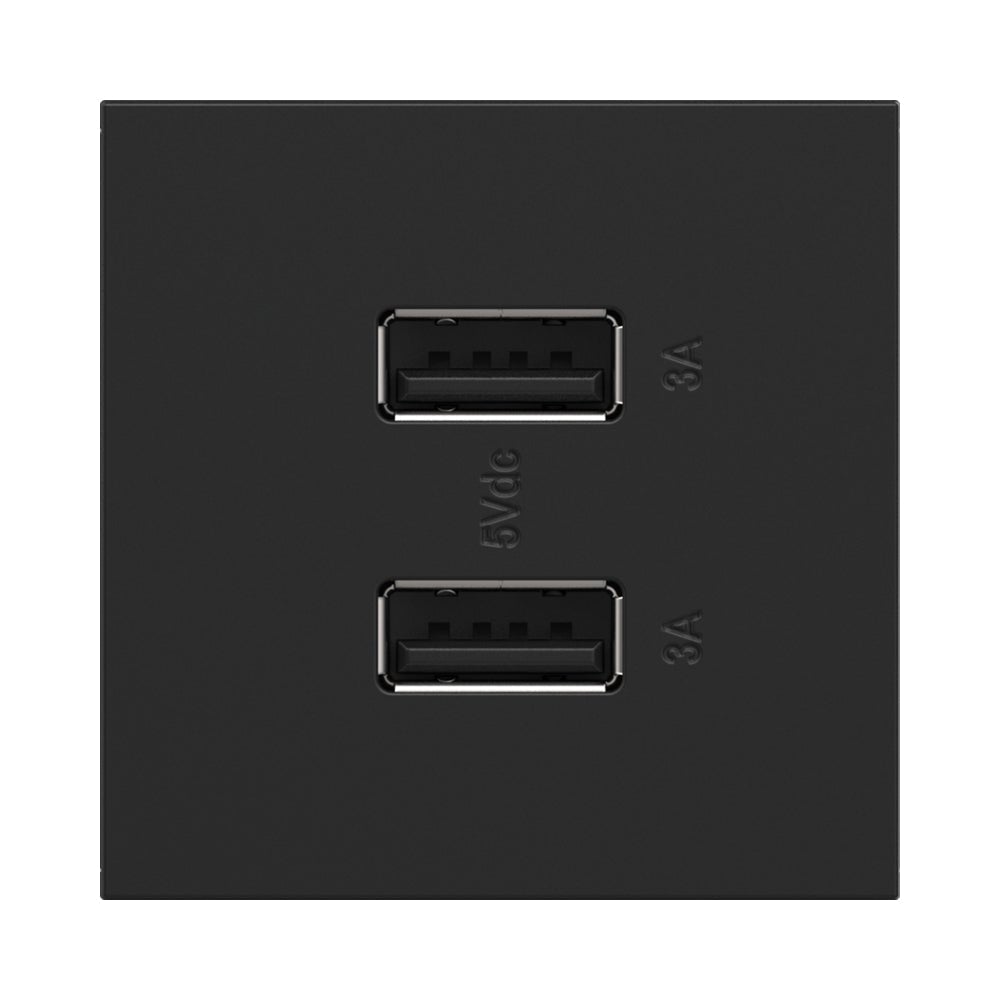 adorne® Full-Size, A/A USB Outlet in Graphite.