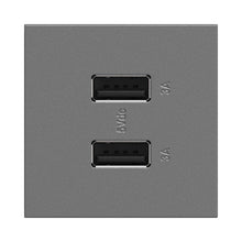 Load image into Gallery viewer, adorne® Full-Size, A/A USB Outlet in Magnesium.
