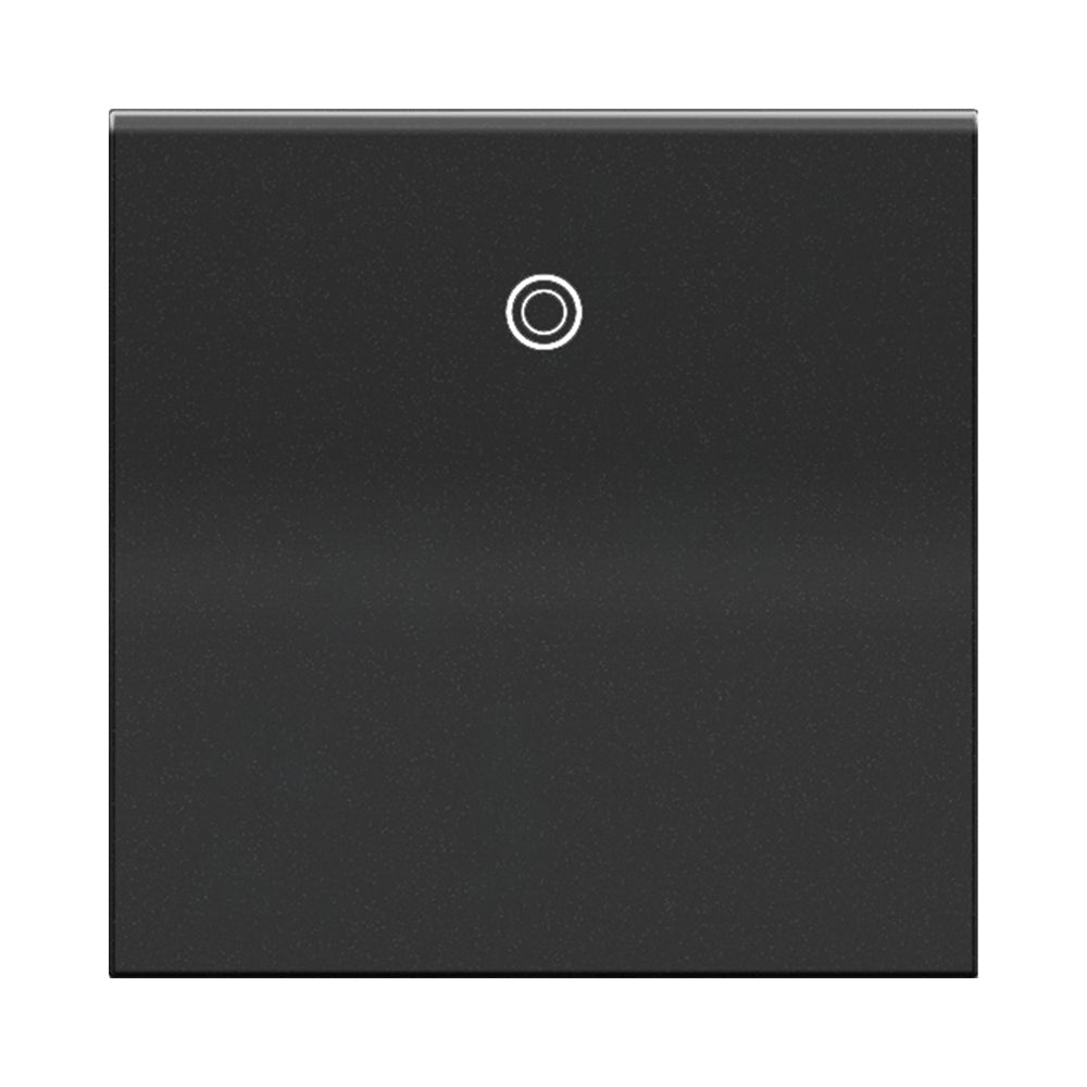 adorne® Paddle 20A Switch in Graphite.