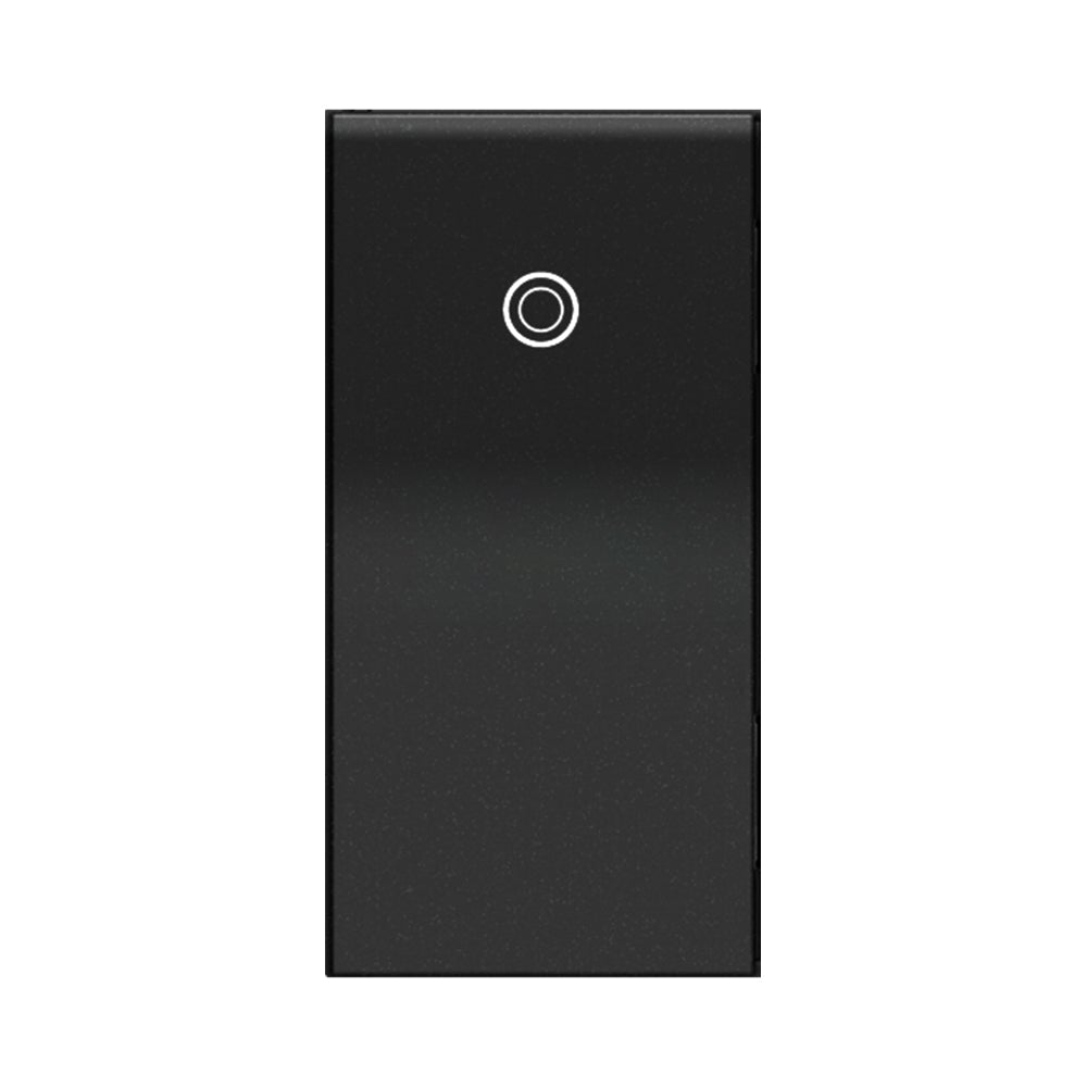 adorne® Paddle Half Switch in Graphite (120V).