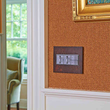 Load image into Gallery viewer, adorne® Paddle Half Switch in living room.
