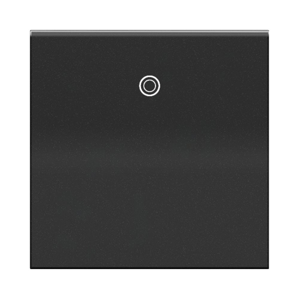 adorne® Paddle Switch in Graphite.