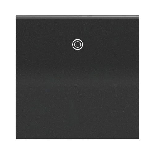 adorne® Paddle Switch.