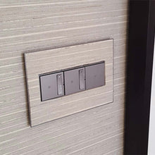 Load image into Gallery viewer, adorne® sofTap Switch in Detail.
