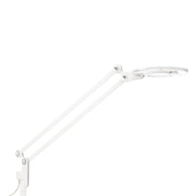Load image into Gallery viewer, Link LED Wall Lamp in White/Small.

