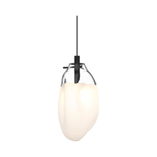 Load image into Gallery viewer, Liquid LED Pendant Light in Clear &amp; White/Small.
