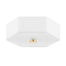 Load image into Gallery viewer, Lizzie LED Flush Mount Ceiling Light in White.

