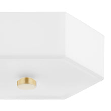 Load image into Gallery viewer, Lizzie LED Flush Mount Ceiling Light Detail.
