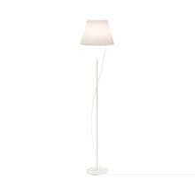 Load image into Gallery viewer, Hover Floor Lamp.
