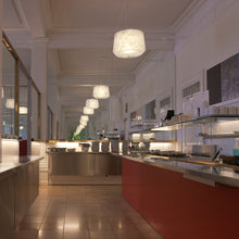 Load image into Gallery viewer, Collage Pendant Light in office.
